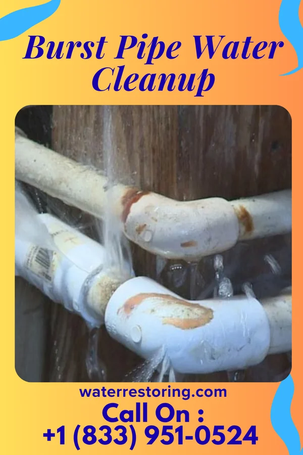 Burst Pipe Water Cleanup in Vineland, MN