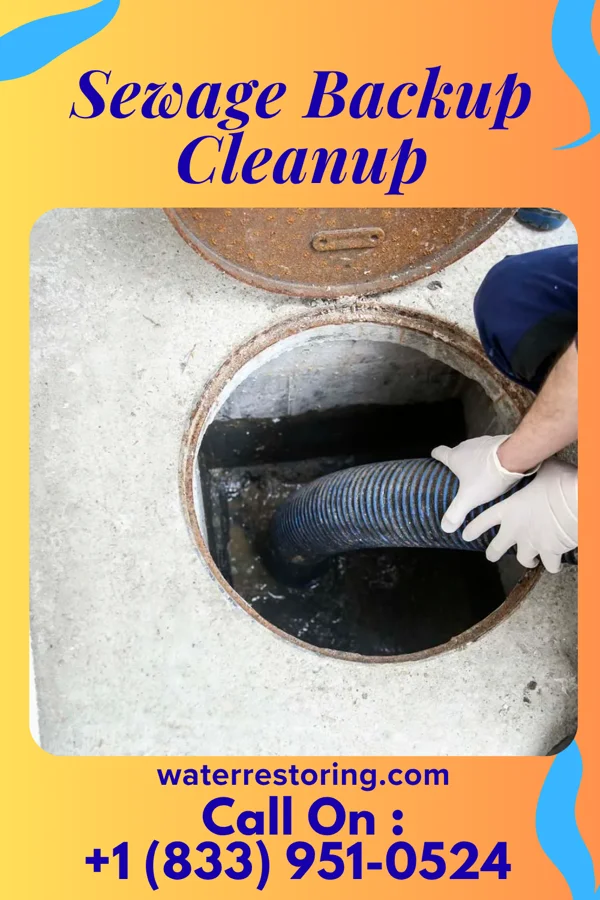 Sewage Backup Cleanup in Vineland, MN