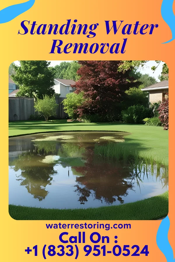 Standing Water Removal in Vineland, MN